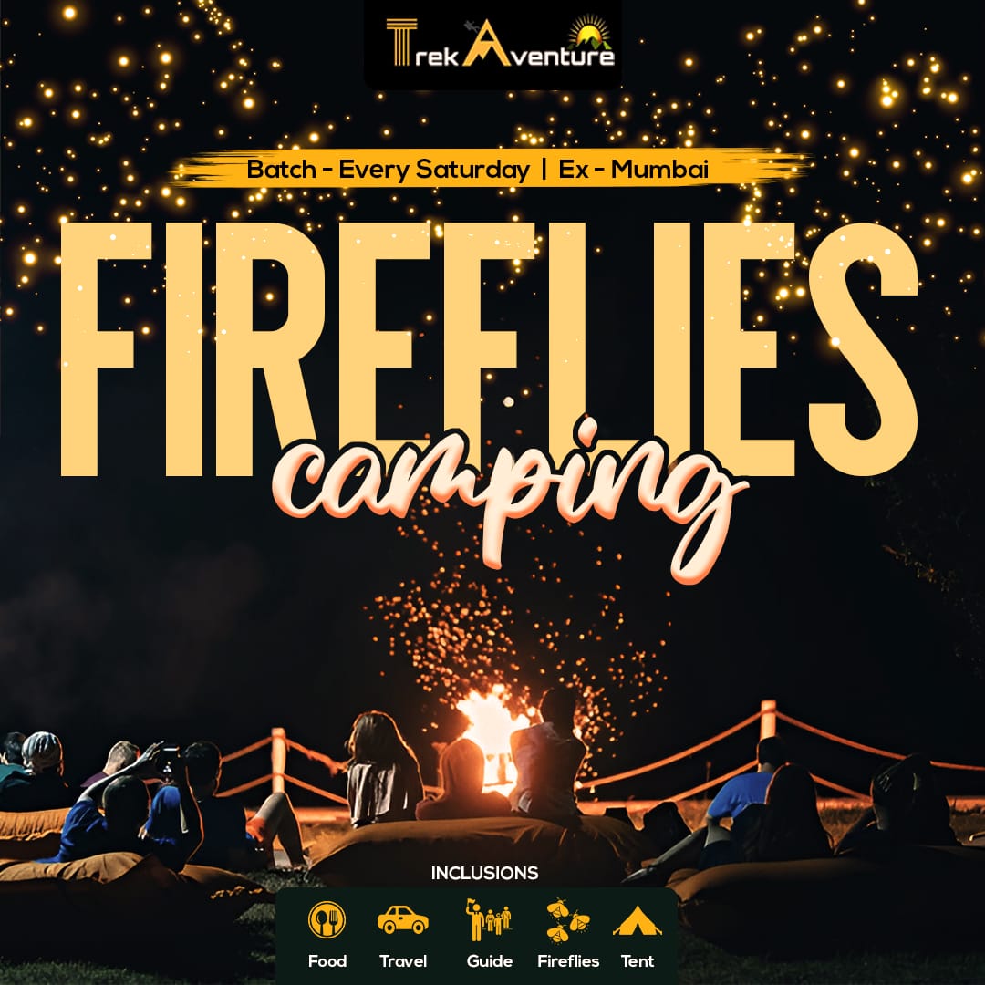 Malshej Ghat Fireflies Camping 