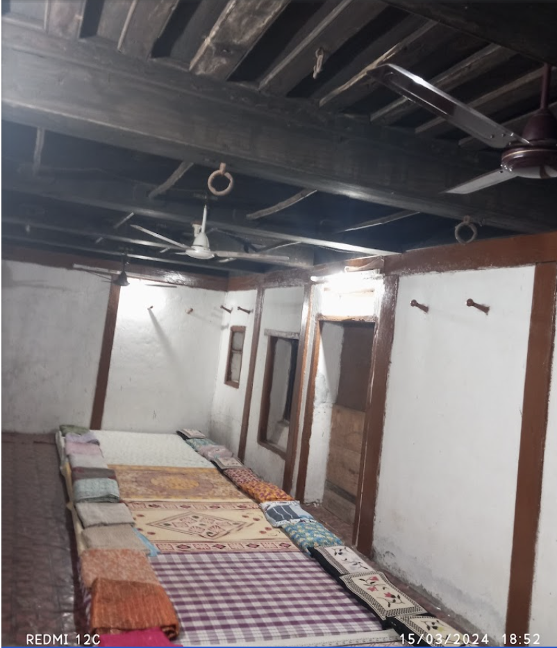 Velas Turtle Festival 